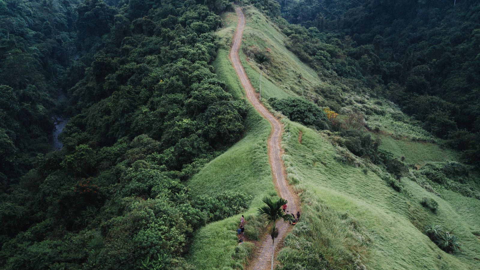Ein langer Weg über einen grünen Bergkamm, am Anfang ein paar Wanderer